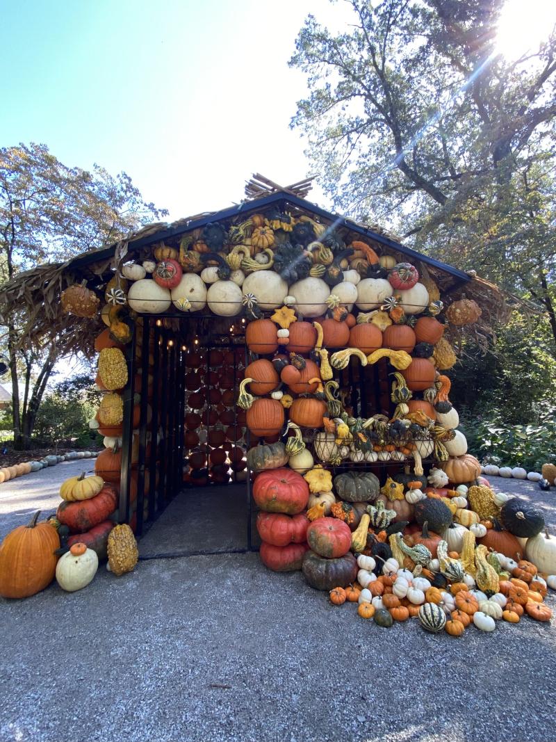 The Dixon Pumpkin House is Back for the Perfect Photo Op I Love